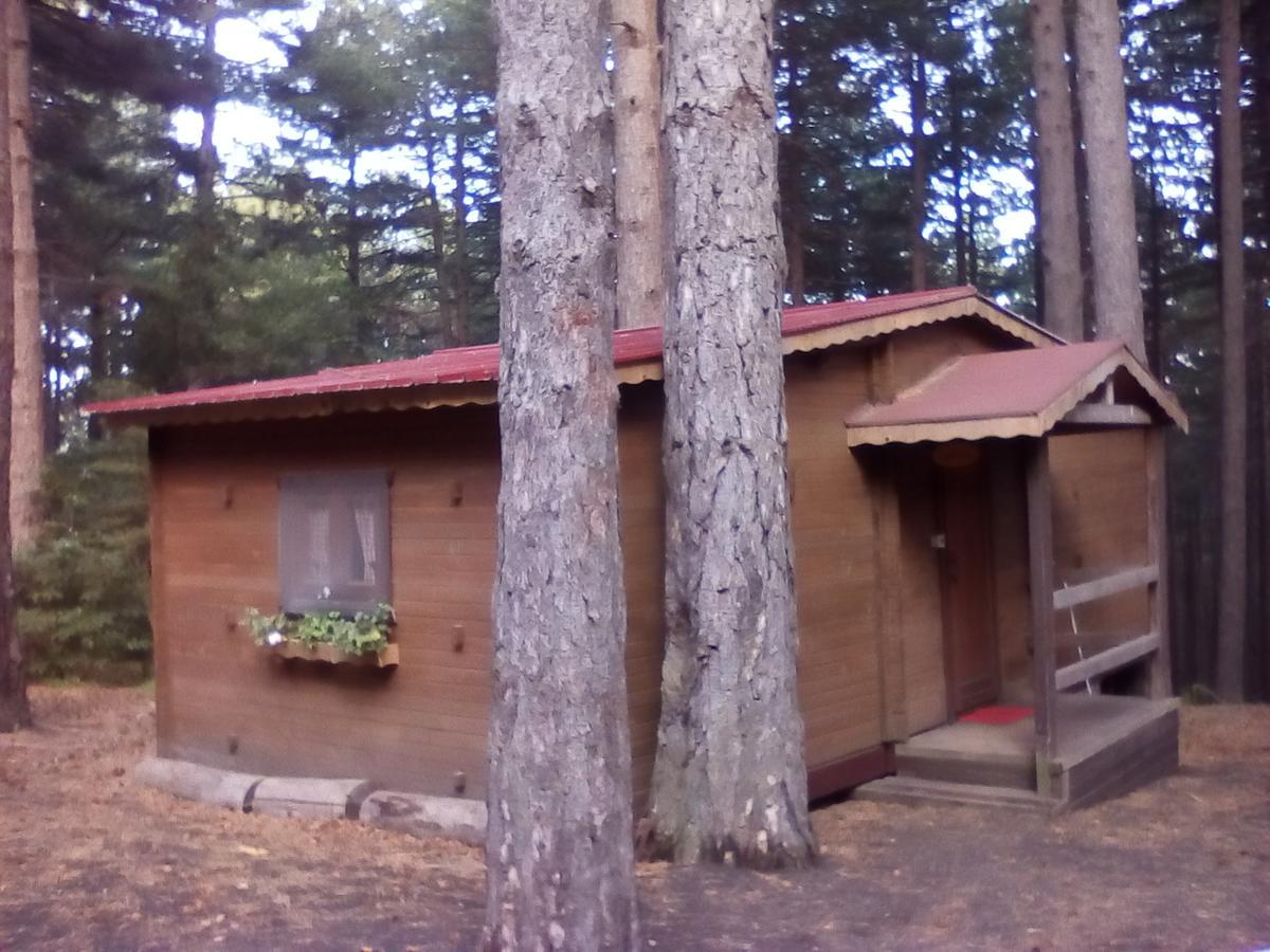 Chalet Clan Dei Ragazzi Hotel Linguaglossa Eksteriør billede